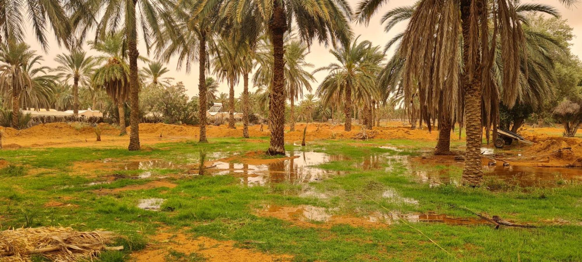 Qasr Ghilan Hotel Pansy מראה חיצוני תמונה